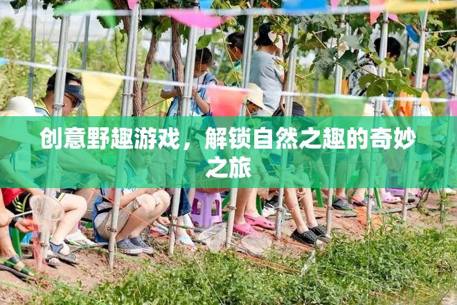 解鎖自然之趣，創(chuàng)意野趣游戲的奇妙之旅