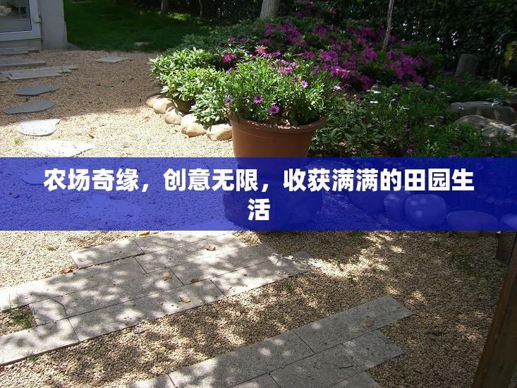 創(chuàng)意田園，農(nóng)場(chǎng)奇緣的收獲之旅