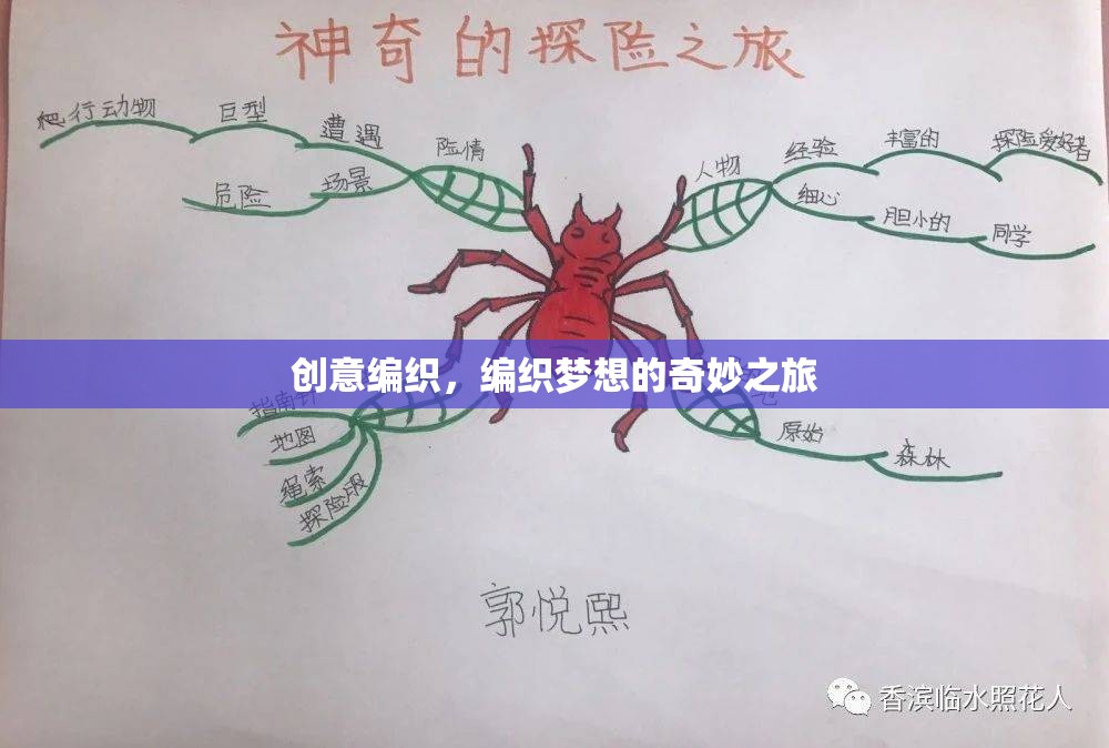 編織夢想，創(chuàng)意編織的奇妙之旅