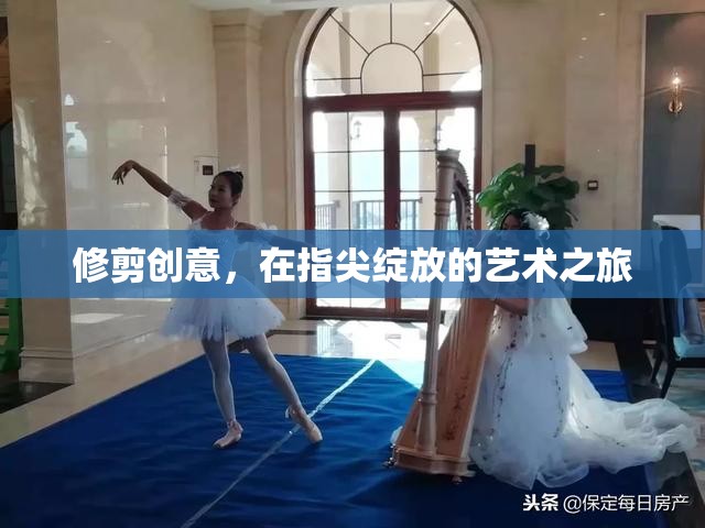 指尖綻放的藝術(shù)之旅，修剪創(chuàng)意的魅力