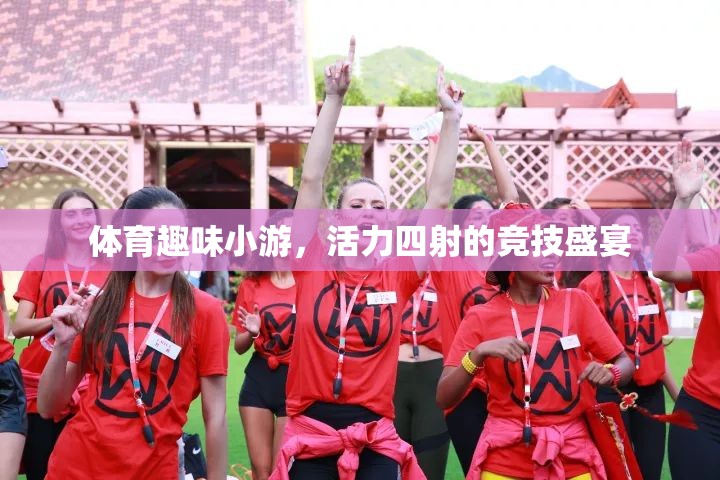 活力四射的競技盛宴，體育趣味小游的精彩瞬間