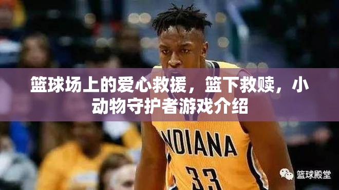 籃球場上的愛心救援，籃下救贖，小動物守護者游戲介紹