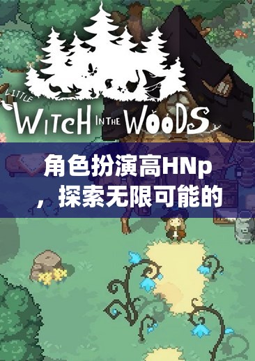 高HNp的奇幻之旅，解鎖角色扮演的無限可能