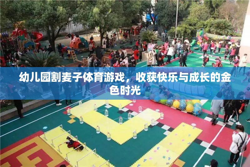 金色時光幼兒園割麥子體育游戲，收獲快樂與成長  第2張