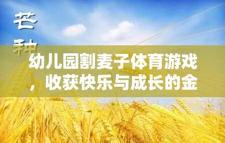 金色時光幼兒園割麥子體育游戲，收獲快樂與成長  第3張