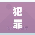 邊緣智慧，犯罪創(chuàng)意游戲的較量
