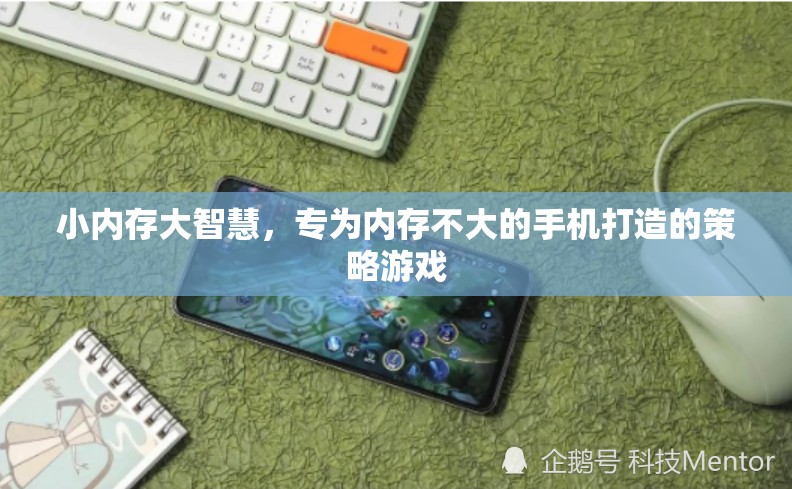 小內存大智慧，專為內存有限的手機設計的策略游戲  第3張