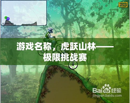 虎躍山林，極限挑戰(zhàn)賽的驚險(xiǎn)之旅