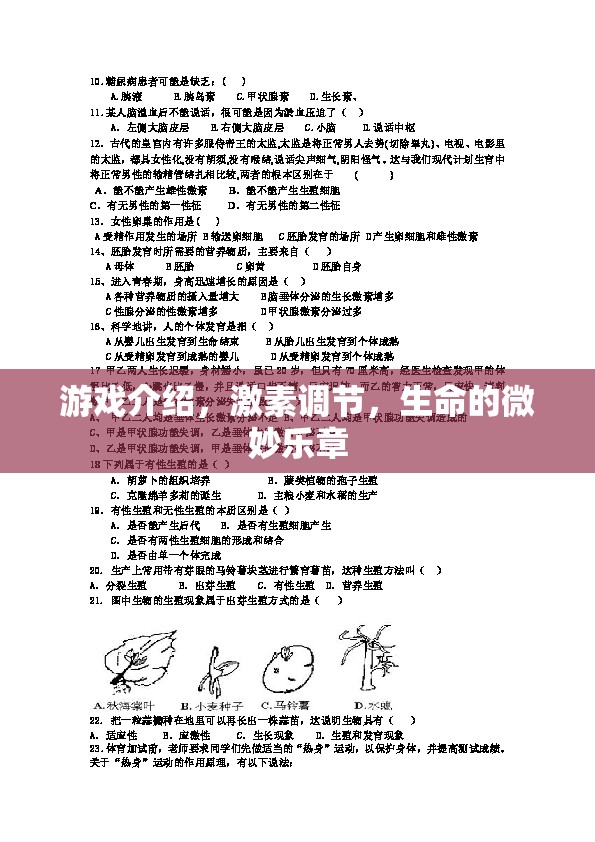 游戲中的生命樂章，探索激素調(diào)節(jié)的微妙與奧秘