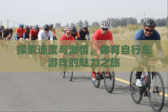 速度與激情，體育自行車游戲的魅力探索之旅