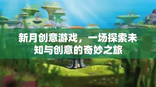 新月創(chuàng)意游戲，一場探索未知與創(chuàng)意的奇妙冒險