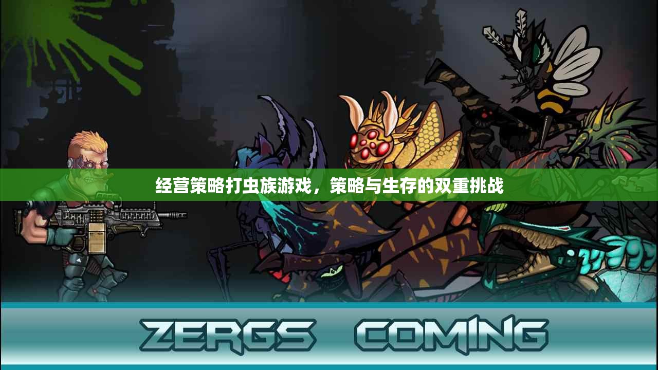 策略與生存的雙重挑戰(zhàn)，經(jīng)營策略在打蟲族游戲中的應(yīng)用
