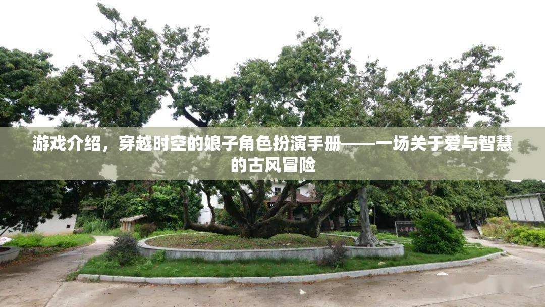 游戲介紹，穿越時(shí)空的娘子角色扮演手冊(cè)——一場(chǎng)關(guān)于愛(ài)與智慧的古風(fēng)冒險(xiǎn)