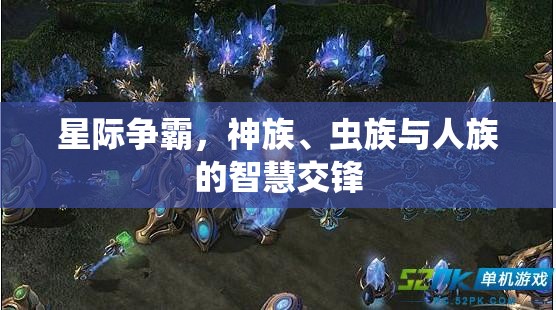 星際爭(zhēng)霸，神族、蟲(chóng)族與人族的智慧交鋒
