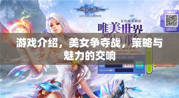 美女爭奪戰(zhàn)，策略與魅力的華麗交響