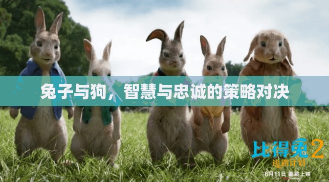 智慧與忠誠的較量，兔子與狗的策略對決  第2張