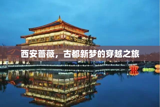 西安薔薇，古都新夢的穿越之旅