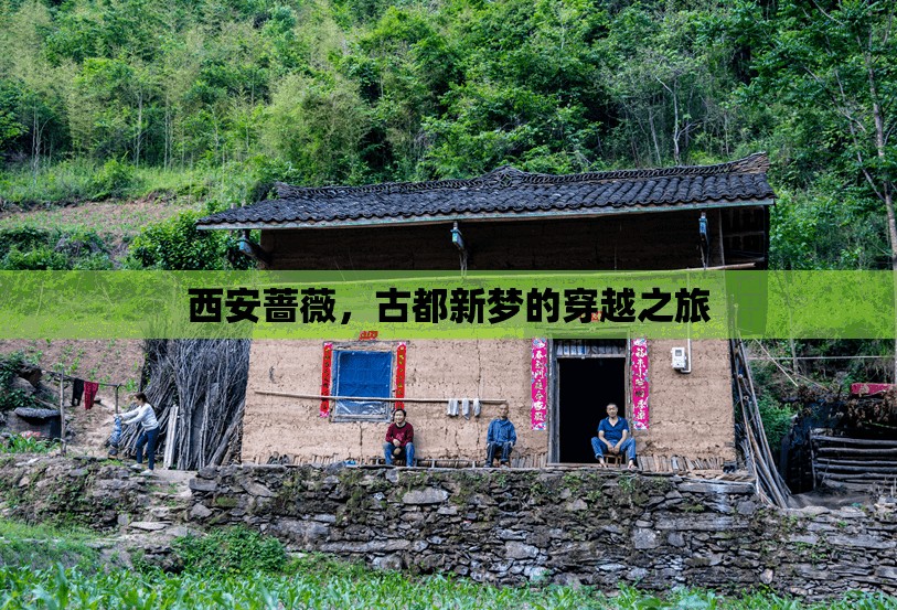 西安薔薇，古都新夢的穿越之旅