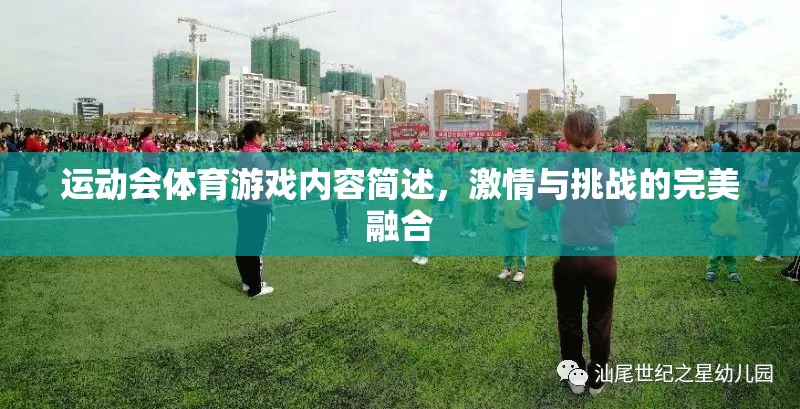 激情與挑戰(zhàn)并存的體育游戲，運(yùn)動(dòng)會(huì)上的完美融合