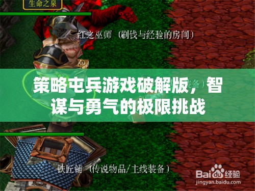 策略屯兵游戲破解版，智謀與勇氣的極限挑戰(zhàn)
