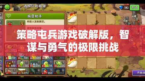 策略屯兵游戲破解版，智謀與勇氣的極限挑戰(zhàn)