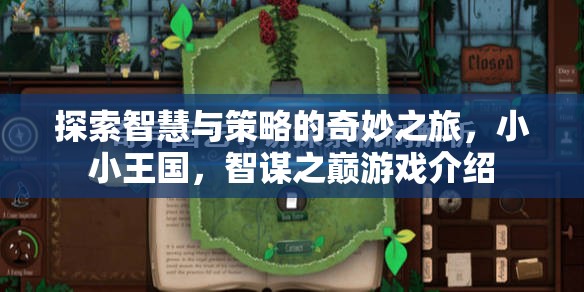 智謀之巔，探索智慧與策略的奇妙王國(guó)之旅