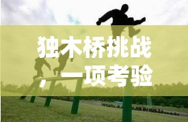 獨木橋挑戰(zhàn)，平衡與勇氣的極限考驗