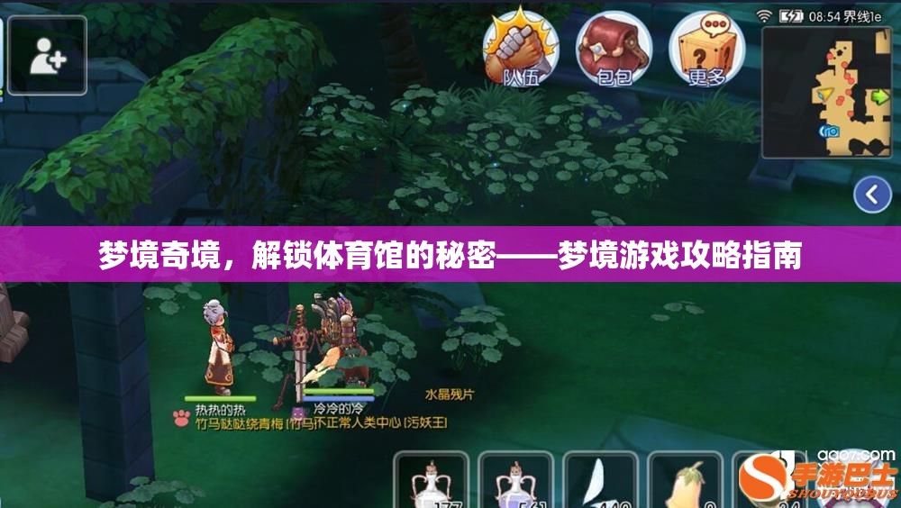 夢(mèng)境奇境，解鎖體育館的秘密——全面攻略指南