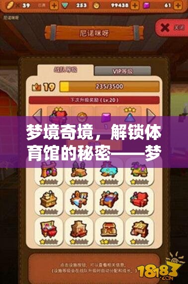 夢(mèng)境奇境，解鎖體育館的秘密——全面攻略指南
