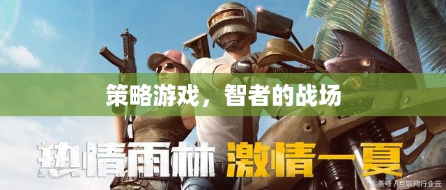 智者的戰(zhàn)場，策略游戲的智慧對決