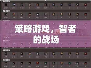 智者的戰(zhàn)場，策略游戲的智慧對決
