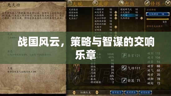 戰(zhàn)國風(fēng)云，策略與智謀的交響樂章