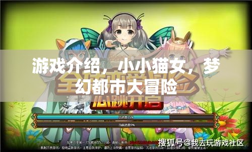 小小貓女，夢(mèng)幻都市的奇幻冒險(xiǎn)之旅