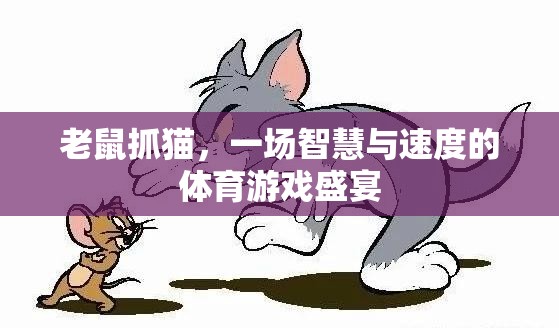 智速對(duì)決，老鼠抓貓的體育游戲盛宴