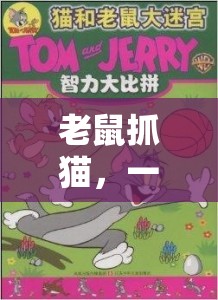 智速對(duì)決，老鼠抓貓的體育游戲盛宴