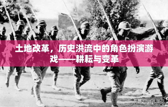 土地改革，歷史洪流中的耕耘與變革  第3張
