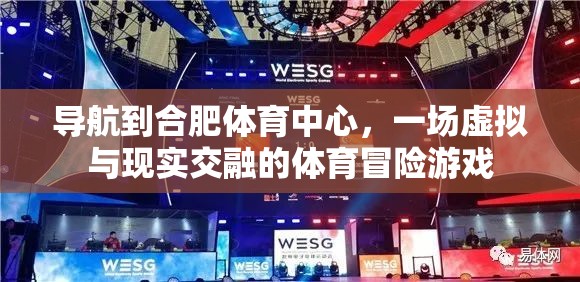 虛擬與現(xiàn)實交織的體育冒險，合肥體育中心之旅