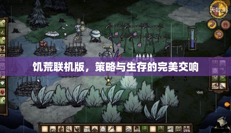 饑荒聯(lián)機(jī)版，策略與生存的完美交響