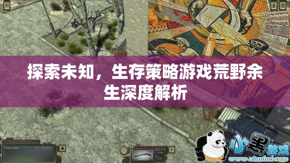 探索未知，生存策略游戲荒野余生深度解析