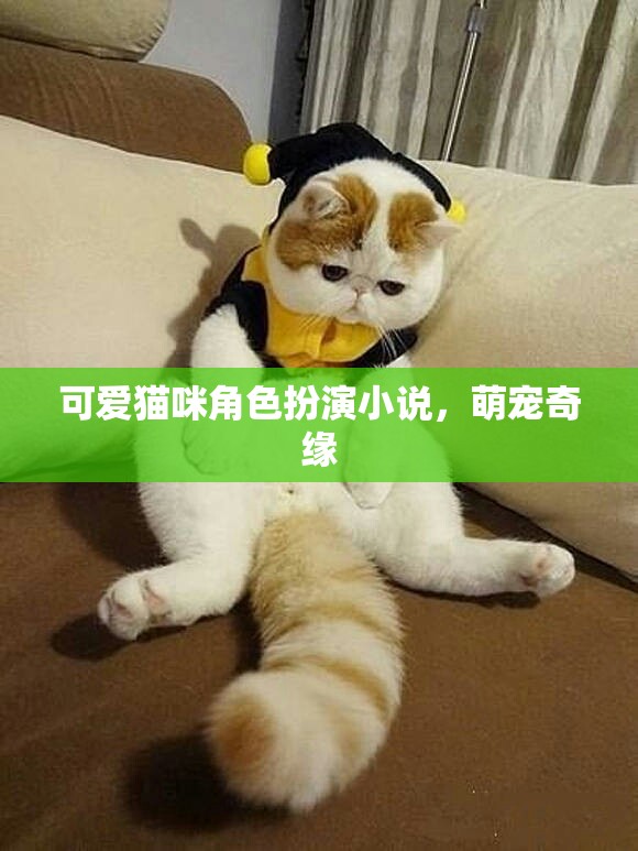 萌寵奇緣，可愛貓咪的角色扮演冒險(xiǎn)  第3張