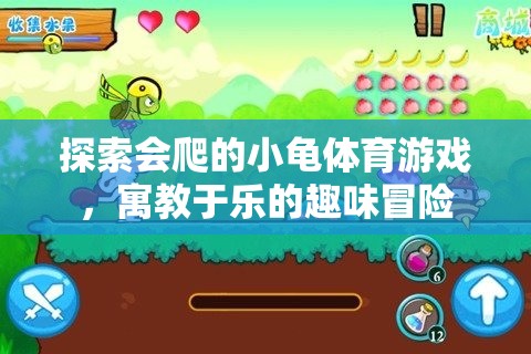 小龜爬行體育游戲，寓教于樂的趣味冒險之旅  第1張