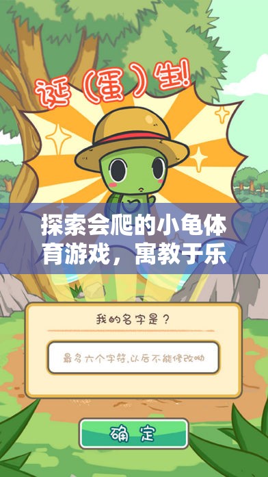小龜爬行體育游戲，寓教于樂的趣味冒險之旅  第3張
