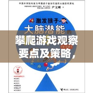 攀爬游戲，觀察要點與策略，平衡激發(fā)潛能與安全的藝術