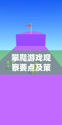 攀爬游戲，觀察要點與策略，平衡激發(fā)潛能與安全的藝術