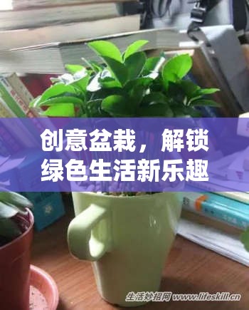 創(chuàng)意盆栽，解鎖綠色生活新樂趣的趣味游戲