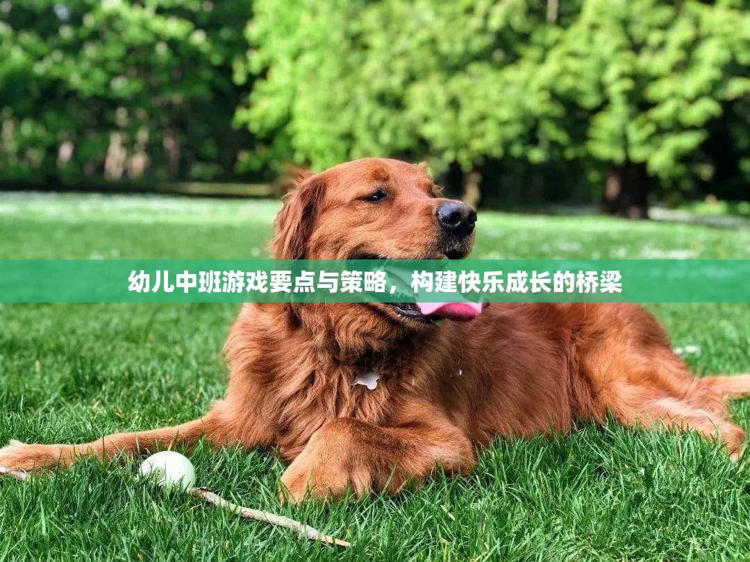 幼兒中班游戲要點(diǎn)與策略，搭建快樂成長的橋梁