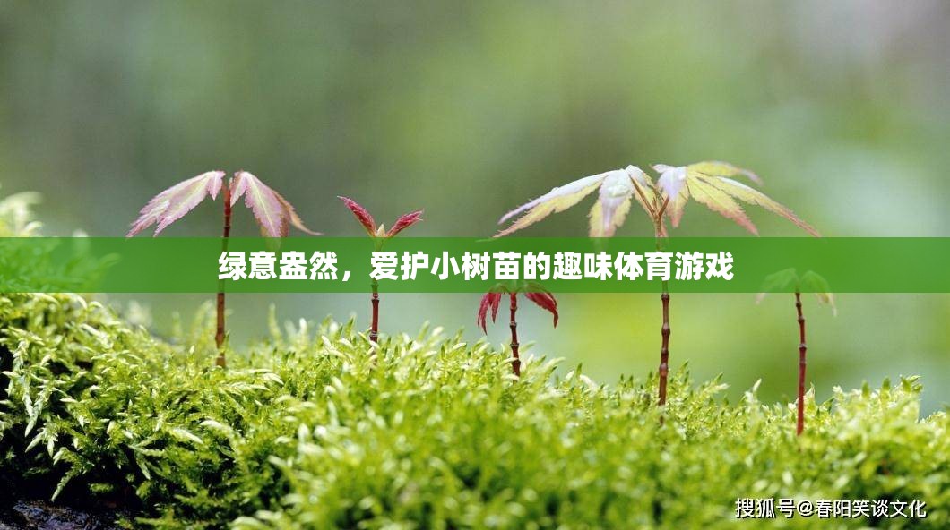 綠意盎然，小樹(shù)苗保護(hù)趣味體育游戲
