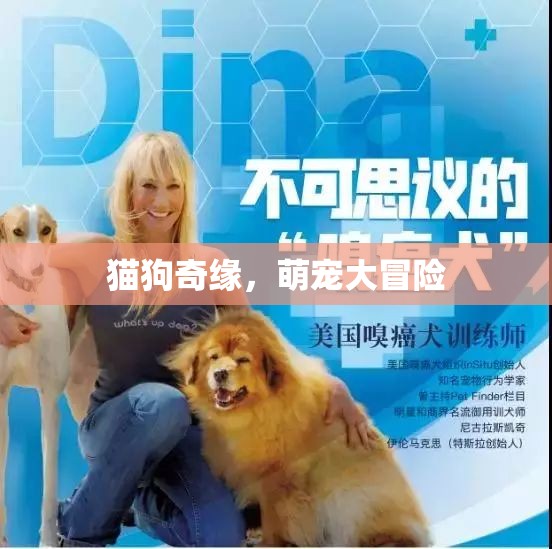 萌寵奇緣，貓狗的歡樂大冒險
