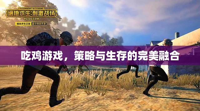 策略與生存的雙重挑戰(zhàn)，吃雞游戲中的完美融合