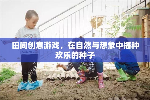 田間創(chuàng)意游戲，播種歡樂的種子在自然與想象中